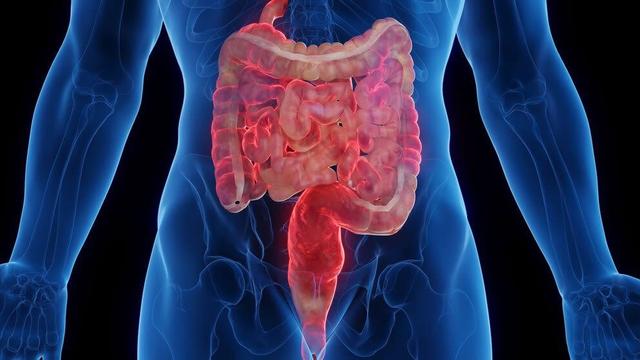 Chronic Inflammatory Bowel Diseases Increase Risk of Mental Illnesses