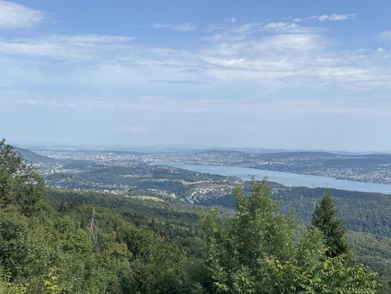 Blick vom Albishorn Richtung Zürich. Im Vordergrund der noch grüne Sihlwald, dann der graublaue See.